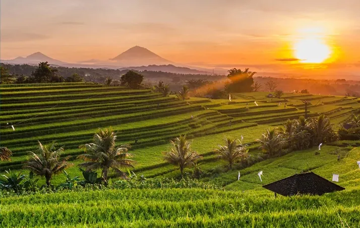 Villa in Ubud and beyond by Nakula